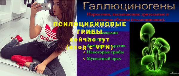 герыч Алексин